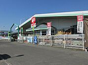 【ホームセンター】コメリハード＆グリーン 二宮店まで1300ｍ