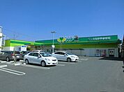 【スーパー】ハート木之庄店まで500ｍ