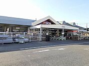 【ホームセンター】DCM北吉津店まで1400ｍ