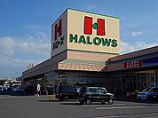 【スーパー】ハローズ新涯店まで1100ｍ
