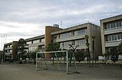 【小学校】太田市立綿打小学校まで520ｍ