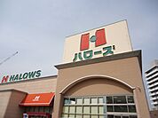 【スーパー】ハローズ水呑店まで850ｍ