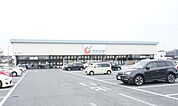 【ドラッグストア】カワチ薬品泉店まで900ｍ