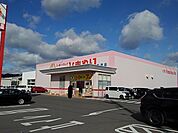 【ドラッグストア】ひまわり高須店まで1600ｍ