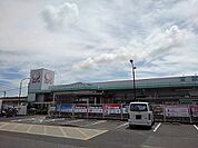 【ホームセンター】コメリ瀬戸田店まで800ｍ