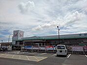 【ホームセンター】コメリ瀬戸田店まで800ｍ