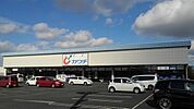 【ドラッグストア】カワチ薬品茨城町店まで1400ｍ