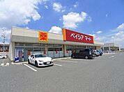 【スーパー】ベイシアマート太田富沢店まで1500ｍ