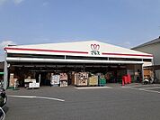 【スーパー】ショッピングマルス本店まで363ｍ