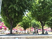 【公園】西山公園まで1300ｍ