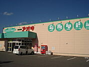 【ドラッグストア】クスリのアオキ 新田塚店まで600ｍ