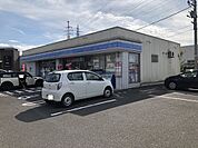 【コンビニエンスストア】ローソンまで700ｍ