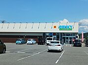 【ドラッグストア】ゲンキー市姫店まで81ｍ