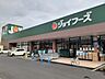 周辺：【スーパー】ジョイフーズ上佐野店まで1000ｍ