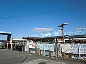 【ホームセンター】ミスタートンカチ江場店まで1100ｍ