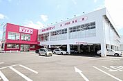 【ドラッグストア】コスモス川下店まで900ｍ