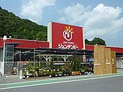 【ホームセンター】ジュンテンドー岩国インター店まで1200ｍ