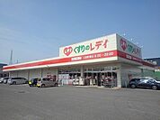【ドラッグストア】くすりのレディ土器町東店まで1300ｍ