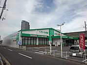 【ドラッグストア】ザグザグ宇多津店まで600ｍ