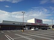 【ドラッグストア】コスモス坂出昭和町店まで500ｍ