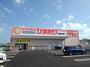 【ドラッグストア】ひまわり善通寺店まで1100ｍ