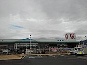 【ホームセンター】コメリハード＆グリーン大野原店まで3800ｍ