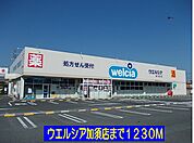 【ドラッグストア】ウエルシア加須店まで1230ｍ