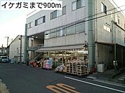 【スーパー】イケガミまで900ｍ