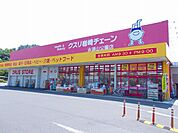 【ドラッグストア】クスリ岩崎チェーン永源山公園店まで2700ｍ