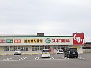 【ドラッグストア】スギ薬局玉垣店まで1730ｍ
