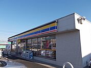 【コンビニエンスストア】ミニストップ伊奈中央店まで800ｍ