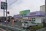 【ドラッグストア】ウェルパーク新座野寺店まで1000ｍ