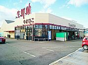 【スーパー】生鮮館やまひこ　南大通店まで500ｍ