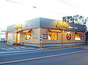 【その他】ジョイフルまで500ｍ