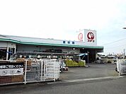 【ホームセンター】コメリ玄海店まで1000ｍ