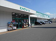【ドラッグストア】エバーグリーン有田店様まで800ｍ