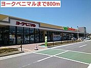 【スーパー】ヨークベニマルまで800ｍ