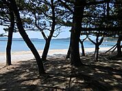 菊ヶ浜海岸まで2100ｍ