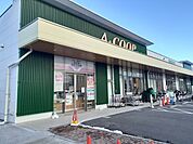 【スーパー】COOP松島店まで888ｍ