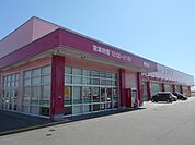 【ドラッグストア】ドラッグコスモス植松店まで3700ｍ
