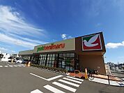 【スーパー】ヨークベニマル小松島店まで350ｍ
