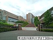 【大学】東北医科薬科大学まで300ｍ