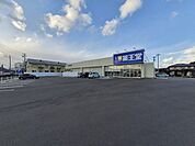 【ドラッグストア】薬王堂 白石旭町店まで270ｍ