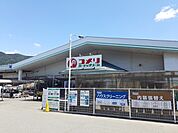 【ホームセンター】コメリハード＆グリーンマキノ店まで190ｍ