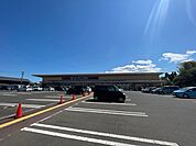 【スーパー】ヨークベニマル亘理店まで1600ｍ