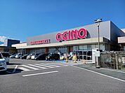 【スーパー】オギノ竜王駅前店まで500ｍ