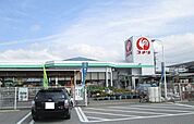 【ホームセンター】コメリ忍野店まで280ｍ