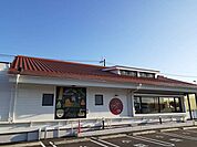 【その他】イタリア食堂　オリーブの丘まで681ｍ