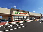 【スーパー】ヨークベニマル牛久上柏田店まで850ｍ