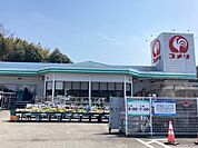 コメリ 綾部店まで400ｍ
